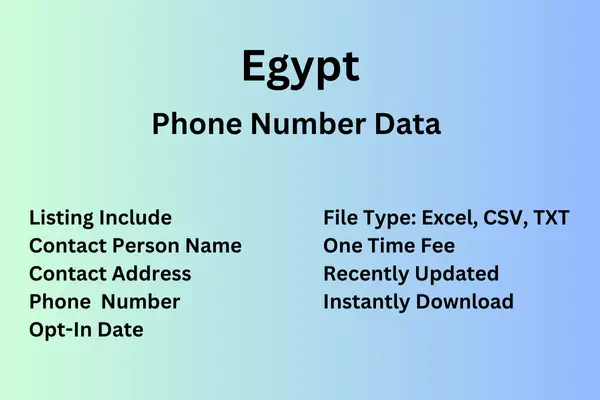 Egypt Number Data